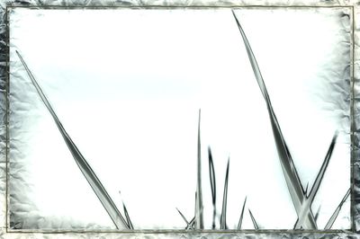 custom alt
